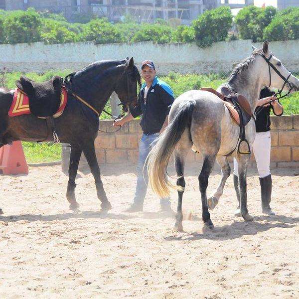 Royal-club-equestre-anfa